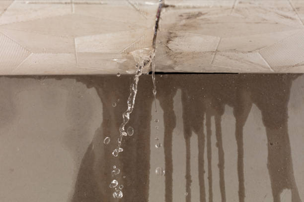 Professional Flood Damage Cleanup technician working in Rockville, MN